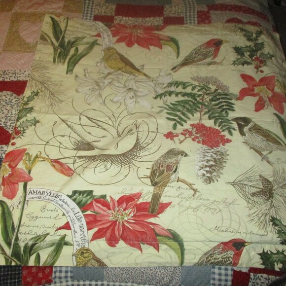 RARE Pottery Barn Amaryllis & Bird Botanical F/Q Duvet Cover & 2 Euro Shams - Picture 10 of 12